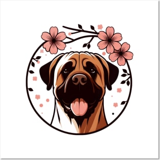 Boerboel Embraces Spring Amidst Cherry Blossoms Radiance Posters and Art